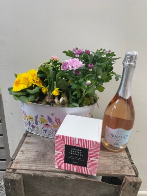 planted gift set
