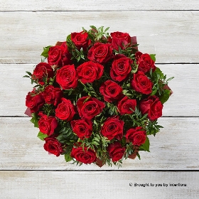 Dramatic Two Dozen  red rose Hand tied