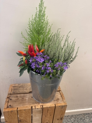Autumn bucket