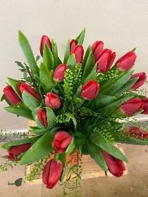 Valentines red tulip vase