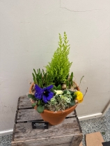 Terracotta spring planter