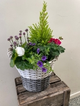 summer planted basket
